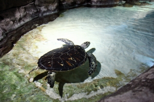 上海-長風公園隨便逛逛