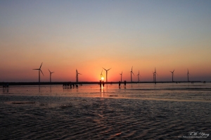 台中 高美濕地 夕色