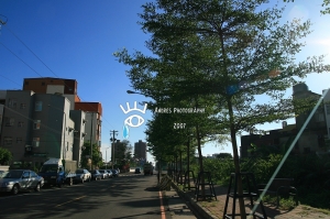 香山溼地