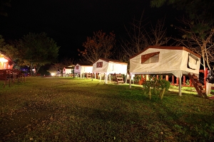 [不賴] 新年快樂合歡去