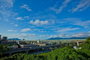 最近四處拍的照片,台北真美