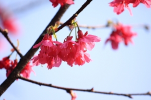 淡水親子半日遊
