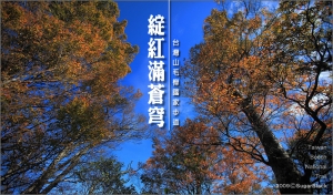 台灣山毛櫸步道【25樓補新圖】