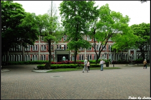 大學校園一角
