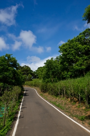 新竹-青青草原&崎頂火車站夕照