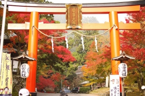 20101113-日本比叡山+奈良賞楓