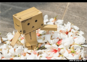 ： 木同　言舌 ：　by  鄉民