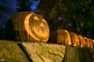 ::: The Great Jack O'Lantern Blaze 南瓜燈展 by DV :::