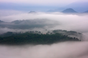 五城＋草湳濕地