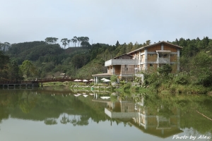 向天湖。山行玫瑰。南庄