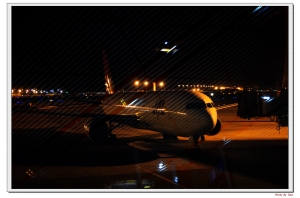 我們的小小約定  -   圖賓根  柏林