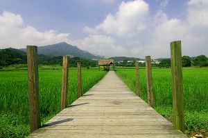 藍天綠地
