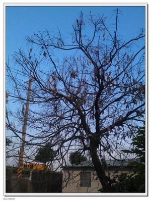 學修圖...隨便拍一張...修改後大家認為