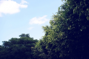 那天午后--【田野女孩】出現了!!