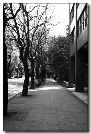 cheeren - 中山北路三段