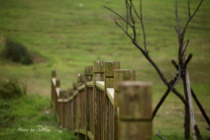 我的第一次......