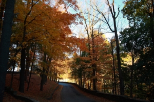 Letchworth State Park at Buffalo(圖多)