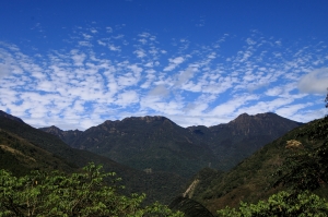 烏來 - 福山賞櫻