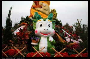 花在彰化-花博公園