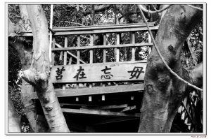 印象-二空新村    旅途隨拍