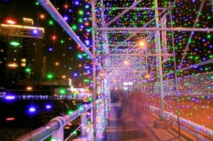 2013桃園燈會夜拍