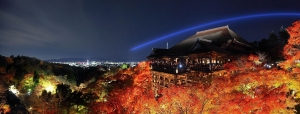 京都清水寺夜楓~一張流