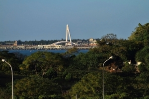 貌似神龍未是龍