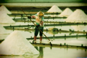 瓦盤鹽田  秋天夕景 + 拍鳥     小小白IS 拍攝