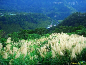 ▲悠閒打茫ㄉㄧ天▼