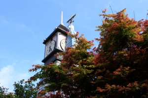 台北奧萬大楓紅了