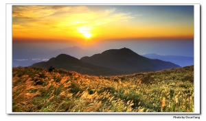 2010大屯山芒草季