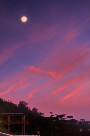 祝大家中秋節快樂! 身體健康,平安如意!