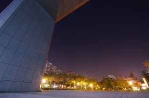 月夜越美壢 <中壢一景>