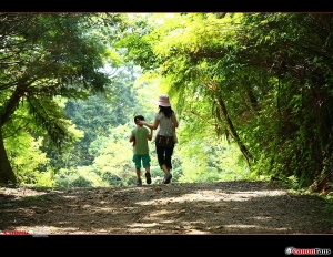 馬武督森林探險記!