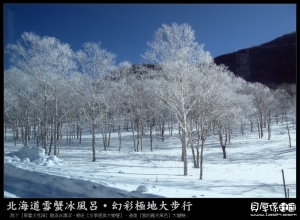 北海道冬天遊記-冰上㊣男女混浴㊣＆雪球戰