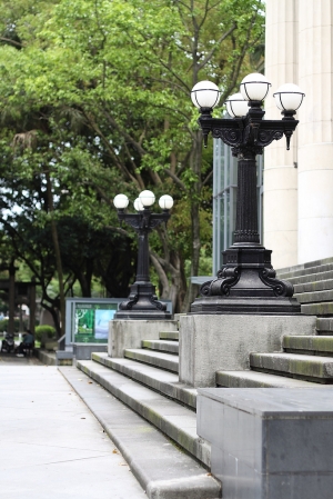 松鼠爬爬 鴿子飛飛~