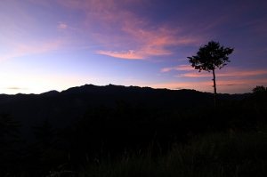 7/4 . 阿里山日出隨拍