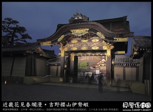 京都賞櫻《★花見二條城-追櫻續攤夜拍趣★》