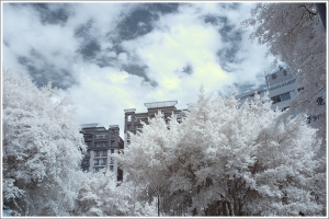 [IR] 迷幻天堂