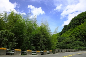 杉林溪沿路隨拍