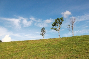 試拍星芒效果&nbsp;&nbsp; ----@小麥