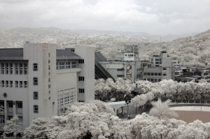 今日中午的風景[IR]