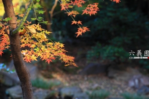 六義園