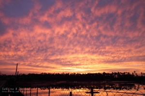 這邊天天都有這種美景