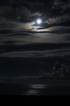 新手花東隨喜照