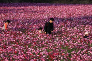 "花"現美濃