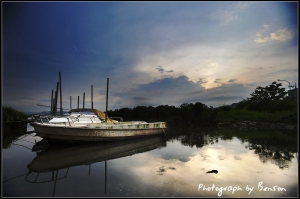 社子島碼頭習拍餵蚊子