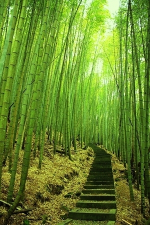 奮起湖~劍湖山遊記篇!!