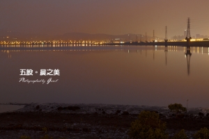 沒出景的五股溼地