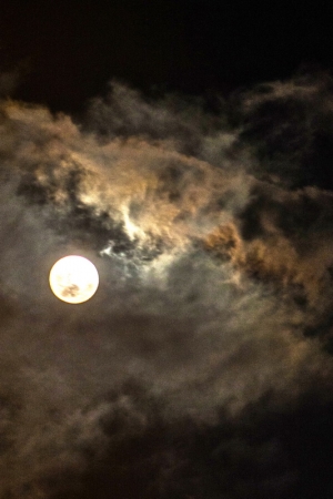 聽說今晚的月亮....離台灣最近....果然有亮喔